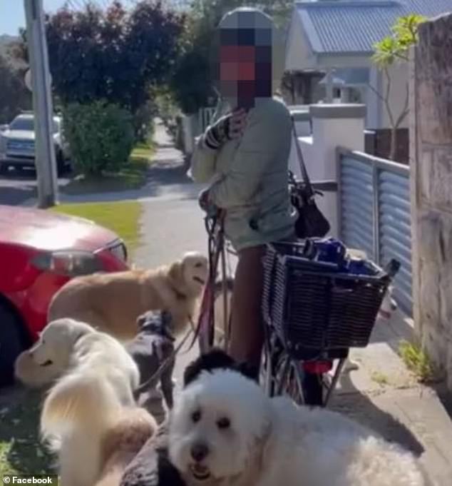 一名遛狗者因“非法”骑自行车穿过街道而被猛烈殴打，拖着四只以上拴着的狗