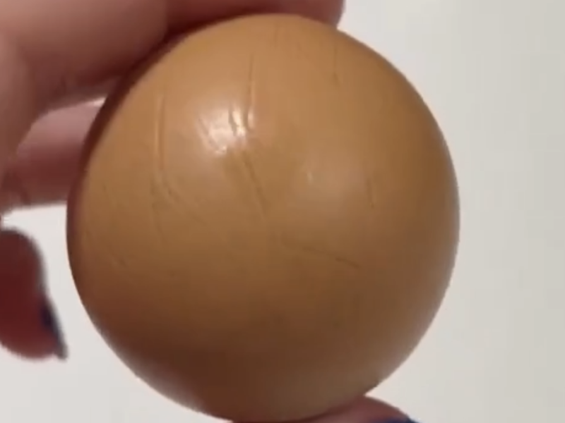 十亿挑一：墨尔本超市发现一颗圆的完美的蛋